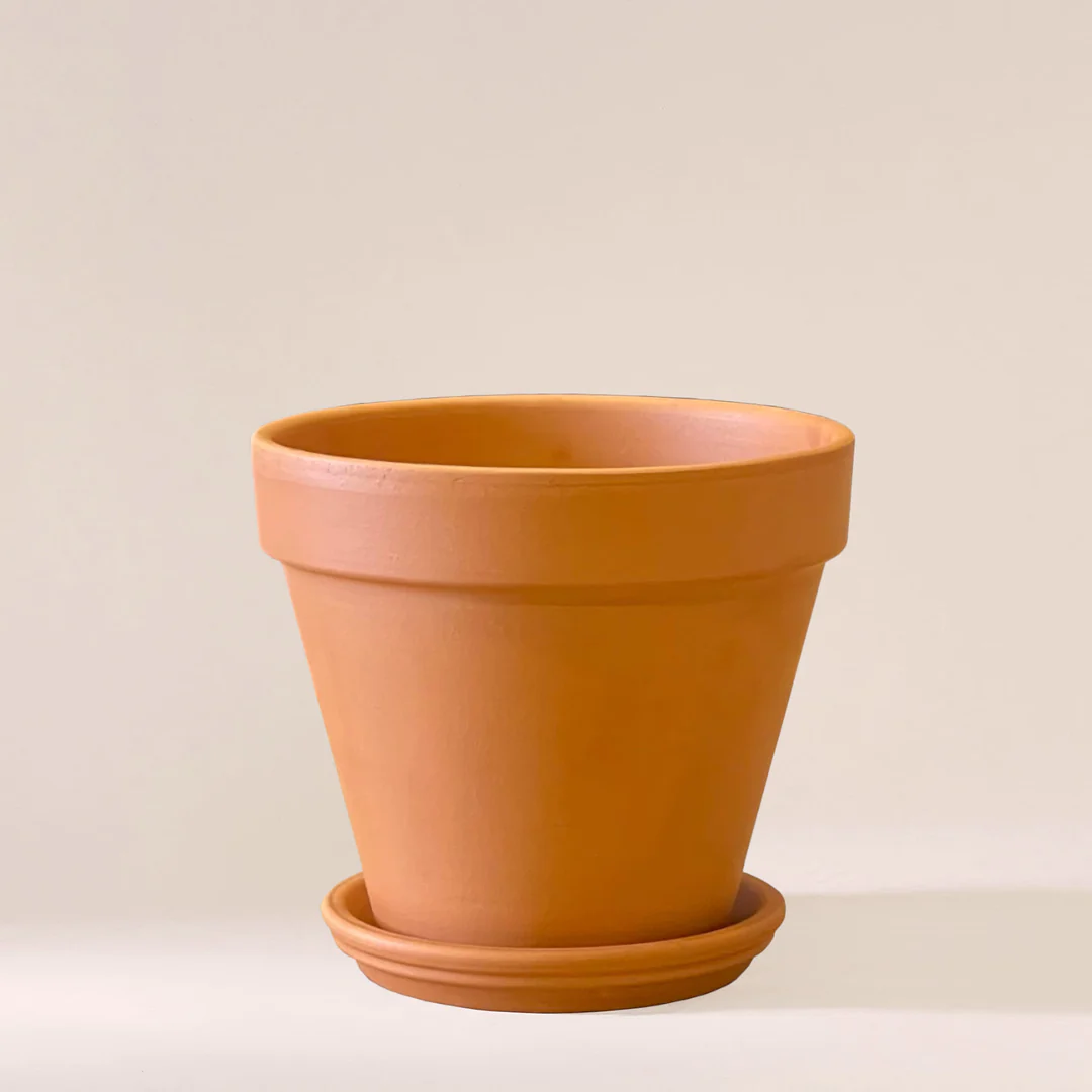 Terracotta